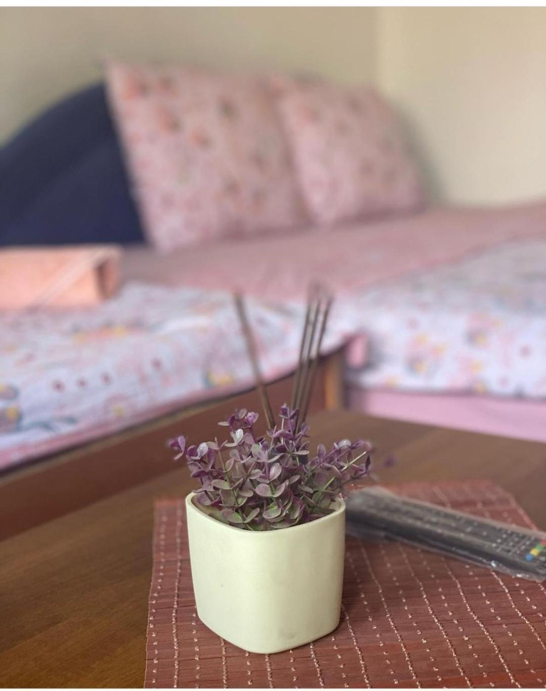 Guest House Zarnovel Palace Ohrid Extérieur photo
